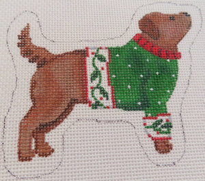 Brown Dog in Sweater