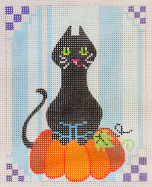 Black Cat on Pumpkin with Blue Background